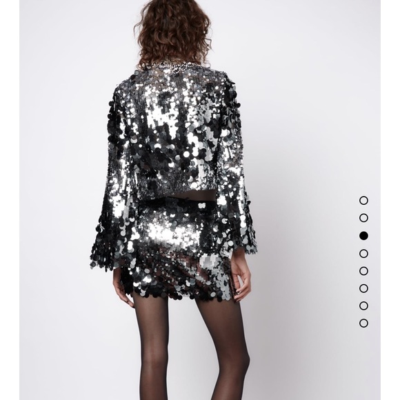 GORGEOUS ZARA NWT SPECIAL EDITION Sequin Crop Top - Picture 15 of 16